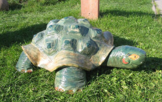 Schildkröte auf der Spielwiese